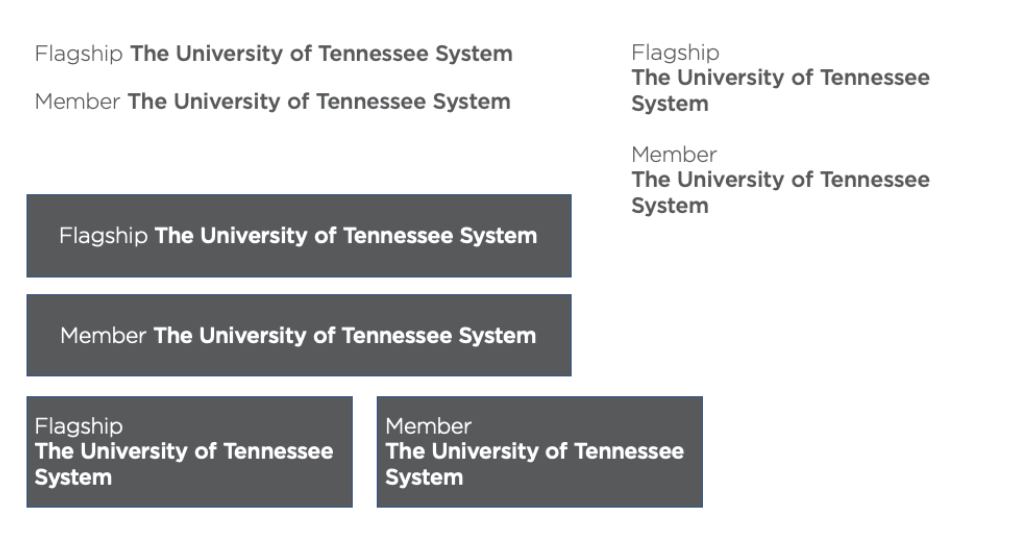 Member, the University of Tennessee System